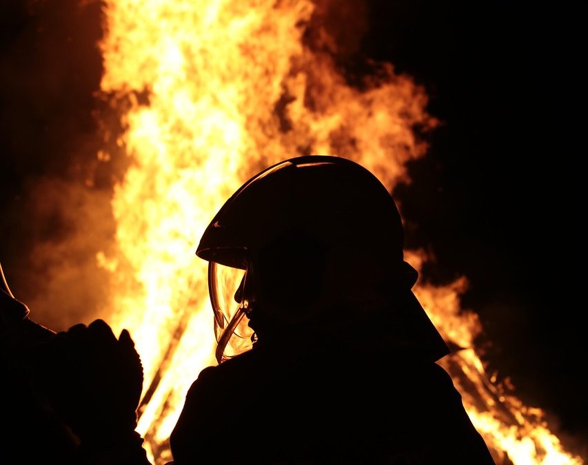 Dinas Damkar Pulang Pisau Hapus Sarang Tawon di Masjid