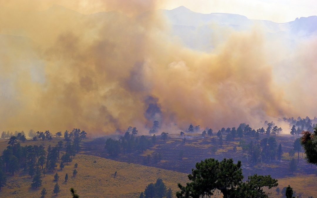 Pemadaman Kilat di Area Industri